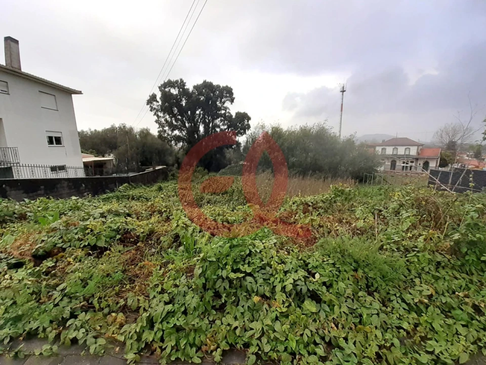 Terreno para Venda em Darque Foto 3