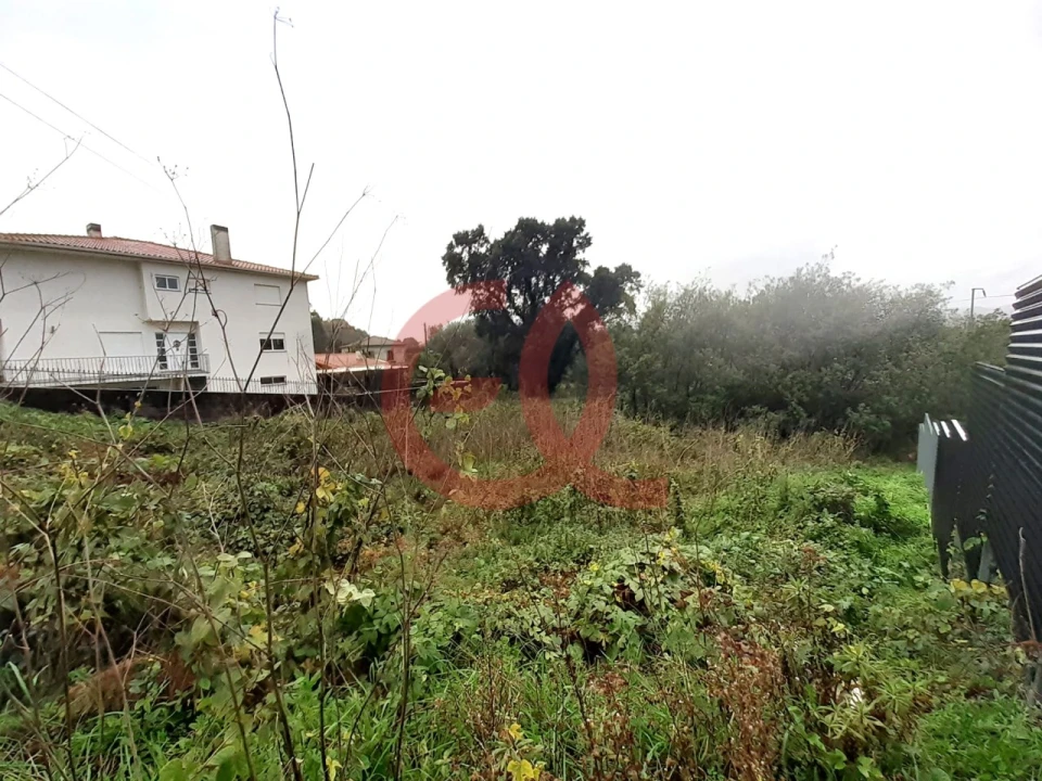 Terreno para Venda em Darque Foto 5