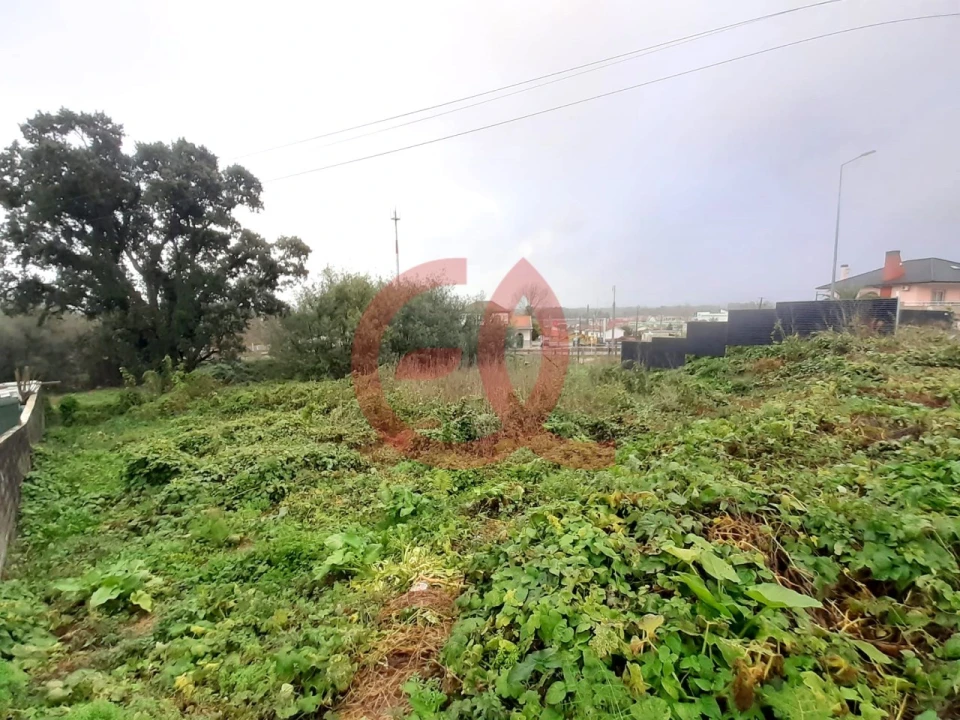 Terreno para Venda em Darque Foto 10