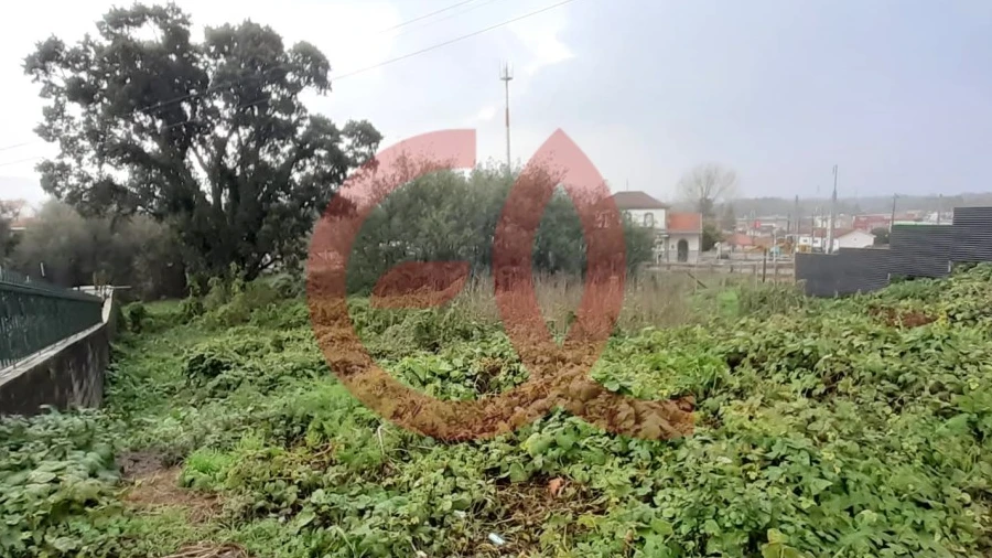 Terreno para Venda em Darque