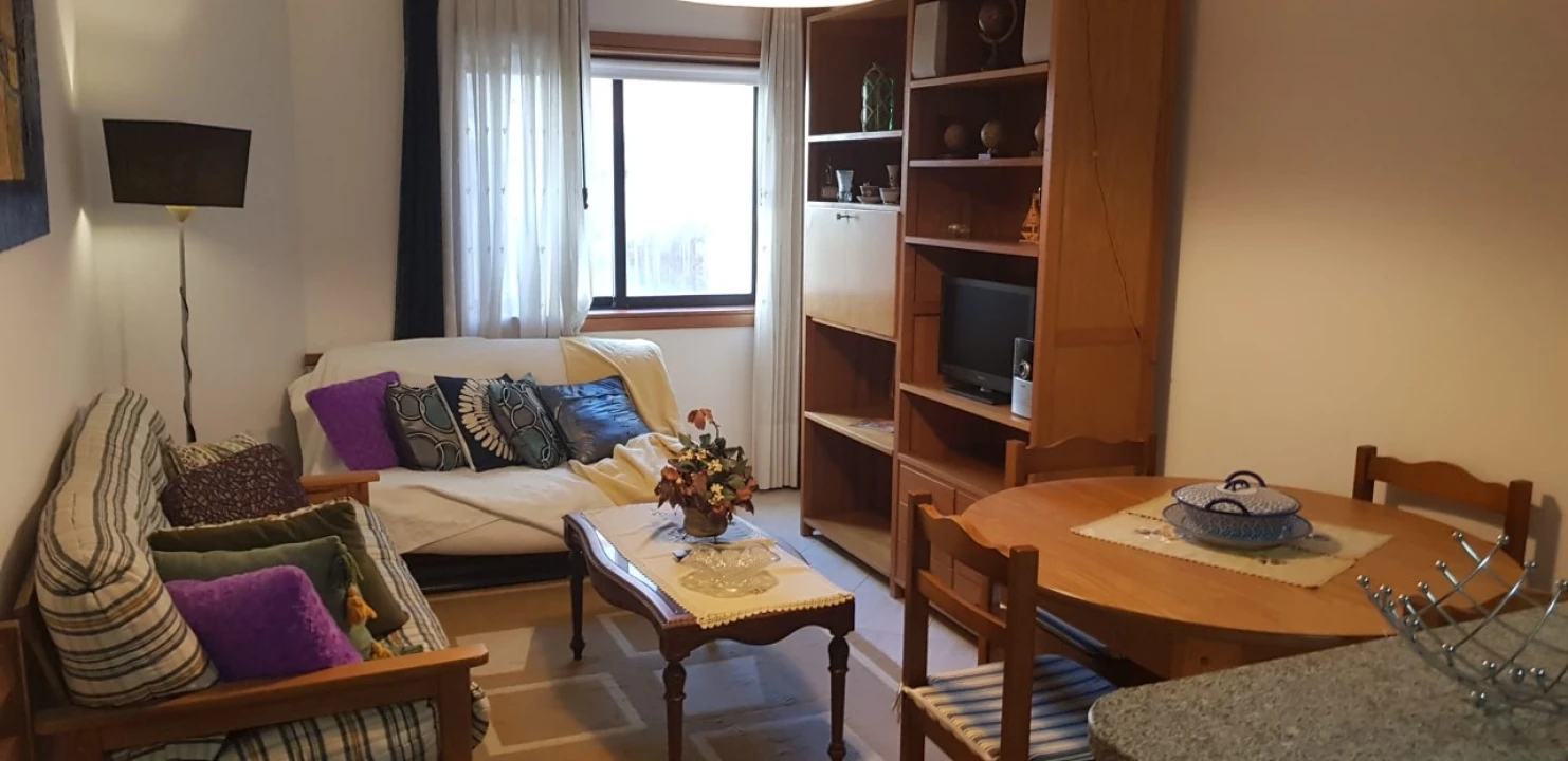 Apartamento T1 para Arrendamento em Ovar, São João, Arada e São Vicente de Pereira Jusã Foto 1