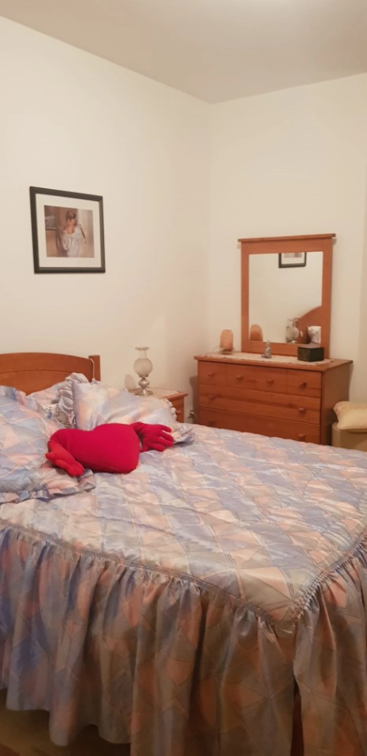 Apartamento T1 para Arrendamento em Ovar, São João, Arada e São Vicente de Pereira Jusã Foto 7