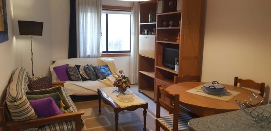 Apartamento T1 para Arrendamento em Ovar, São João, Arada e São Vicente de Pereira Jusã