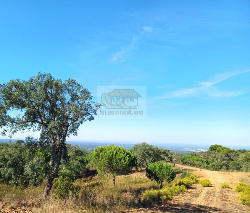 Terreno Agricola ou Rústico para Venda em Santiago do Cacém, Santa Cruz e São Bartolomeu da Serra Foto 1