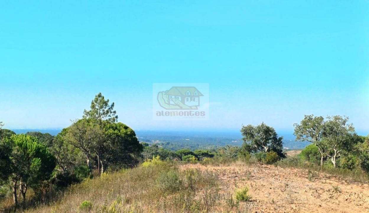 Terreno Agricola ou Rústico para Venda em Santiago do Cacém, Santa Cruz e São Bartolomeu da Serra Foto 3