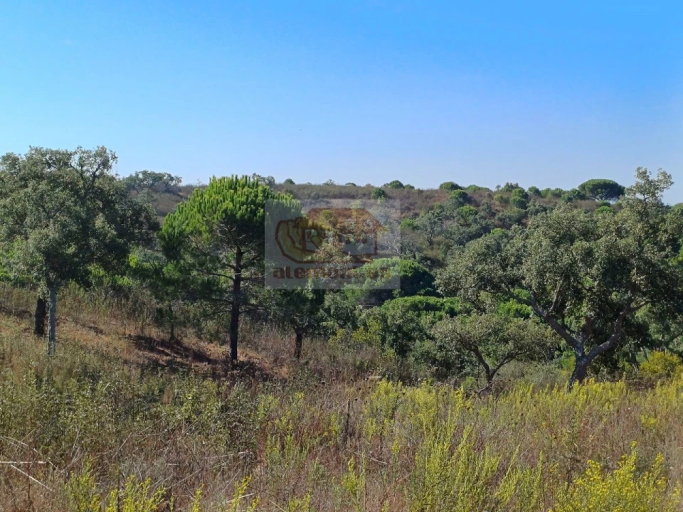 Terreno Agricola ou Rústico para Venda em Santiago do Cacém, Santa Cruz e São Bartolomeu da Serra Foto 8