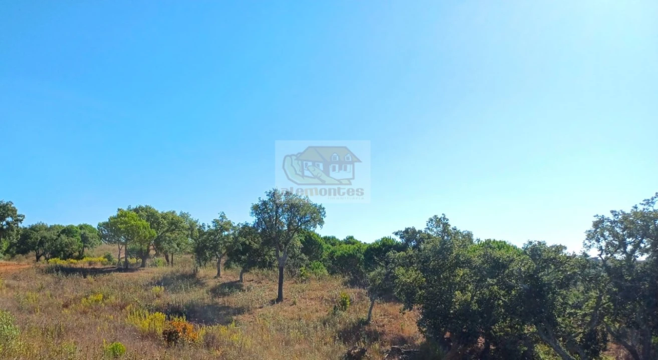 Terreno Agricola ou Rústico para Venda em Santiago do Cacém, Santa Cruz e São Bartolomeu da Serra Foto 10