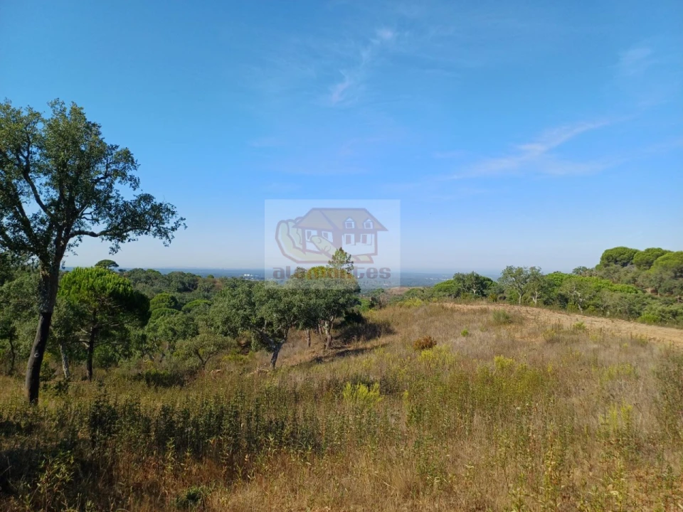 Terreno Agricola ou Rústico para Venda em Santiago do Cacém, Santa Cruz e São Bartolomeu da Serra Foto 12