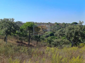 Terreno Agricola ou Rústico para Venda em Santiago do Cacém, Santa Cruz e São Bartolomeu da Serra