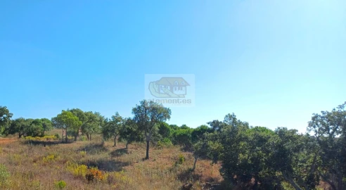 Terreno Agricola ou Rústico para Venda em Santiago do Cacém, Santa Cruz e São Bartolomeu da Serra