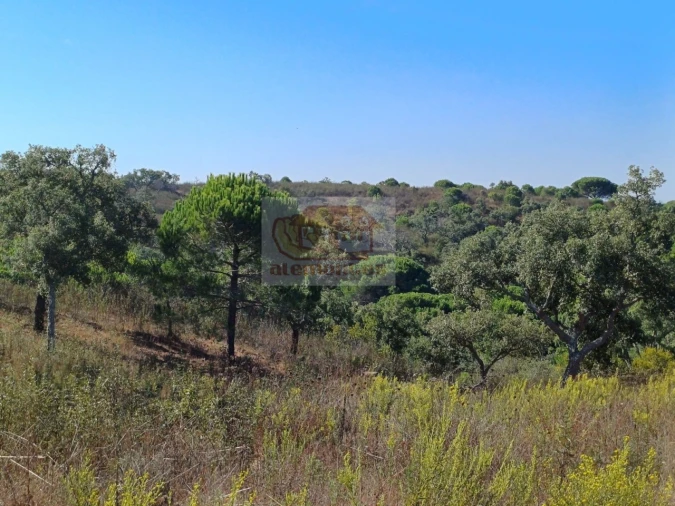 Terreno Agricola ou Rústico para Venda em Santiago do Cacém, Santa Cruz e São Bartolomeu da Serra Foto 8