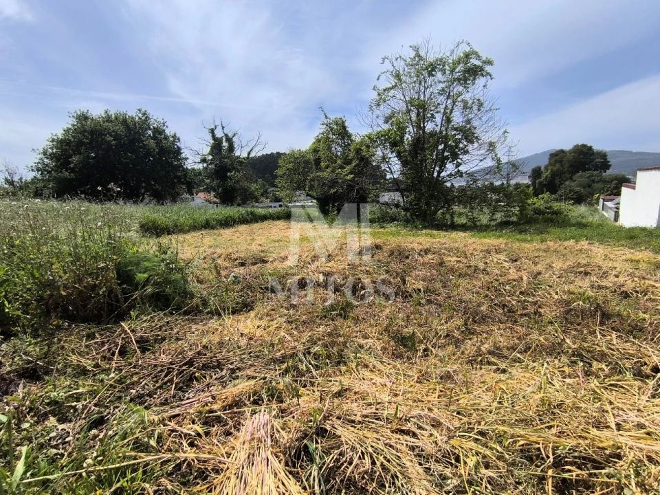 Terreno para Venda em Seixas Foto 3