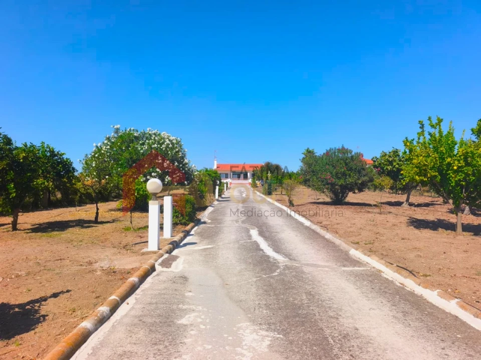 Quinta T3 para Venda em Nossa Senhora da Expectação Foto 50