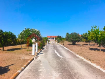Quinta T3 para Venda em Nossa Senhora da Expectação