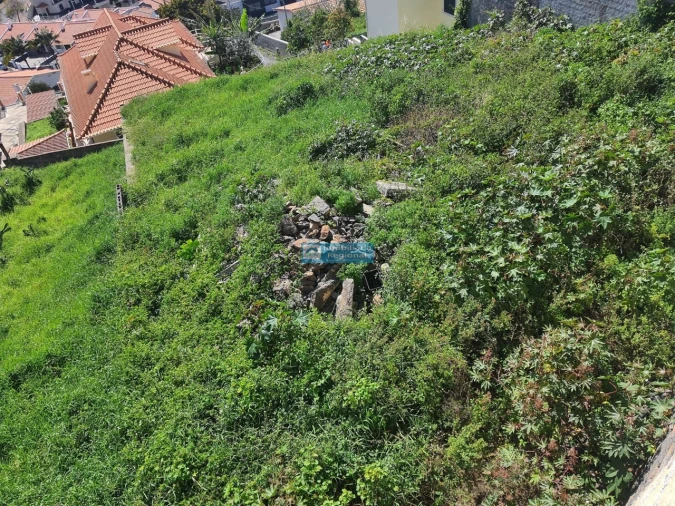 Terreno para Venda em São Gonçalo Foto 11