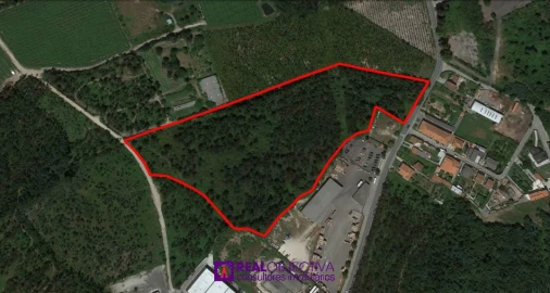 Terreno para Venda em Guilhabreu