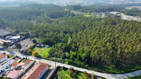 Terreno para Venda em Guilhabreu