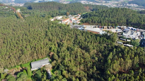 Terreno para Venda em Guilhabreu