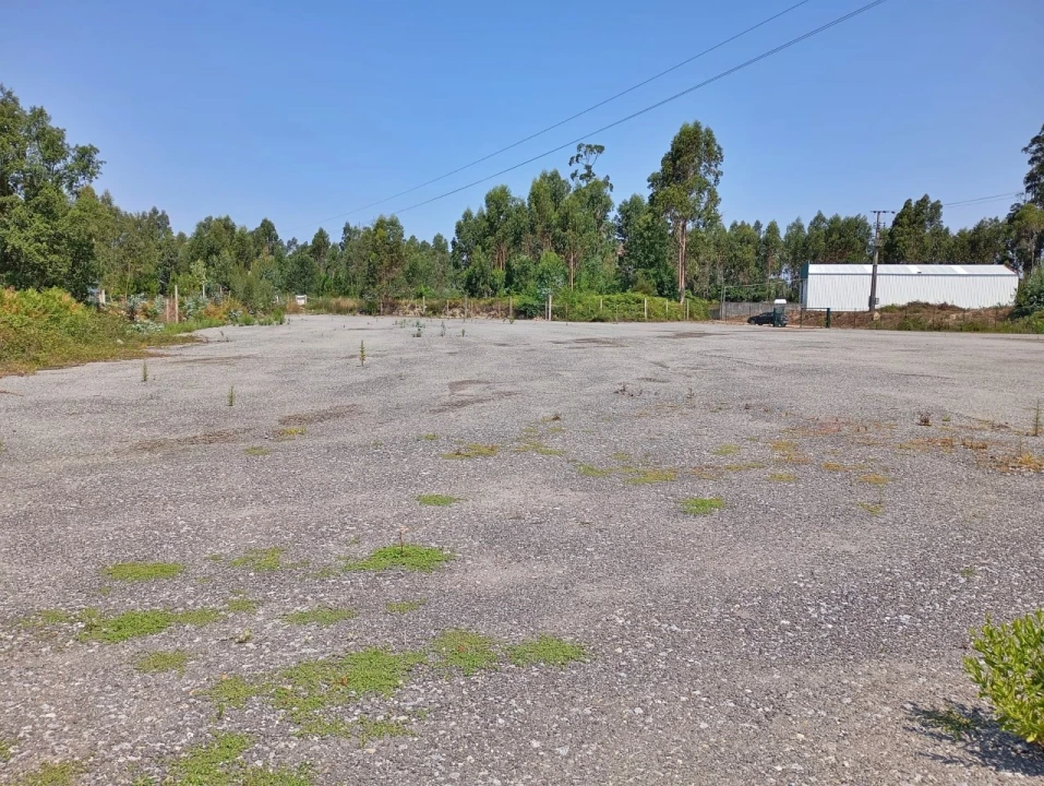 Terreno para Arrendamento em Coronado (São Romão e São Mamede) Foto 2