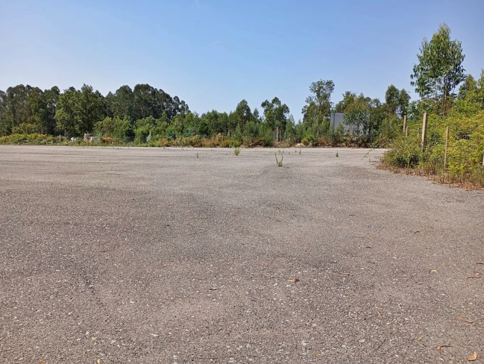 Terreno para Arrendamento em Coronado (São Romão e São Mamede) Foto 4