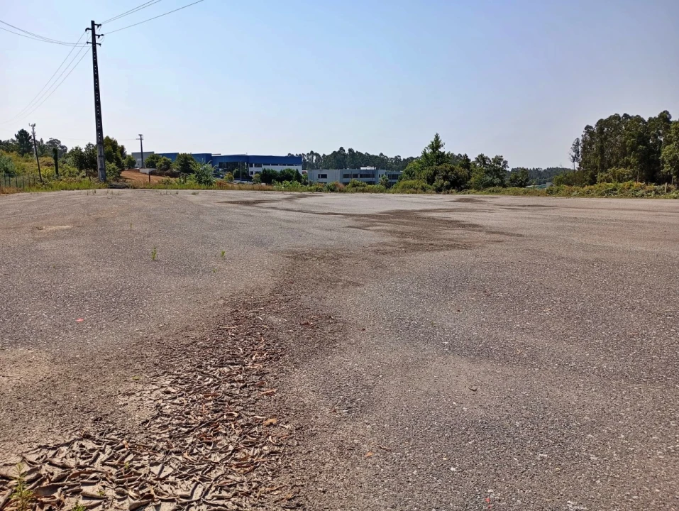 Terreno para Arrendamento em Coronado (São Romão e São Mamede) Foto 6