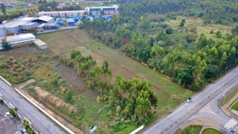 Terreno para Venda em Folgosa