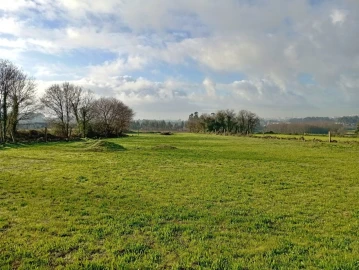 Terreno para Venda em Nogueira e Silva Escura