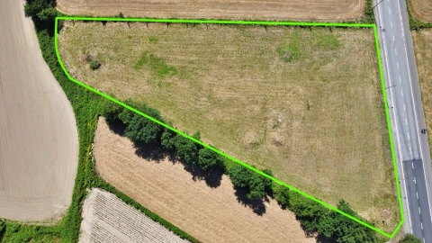 Terreno para Venda em Nogueira e Silva Escura