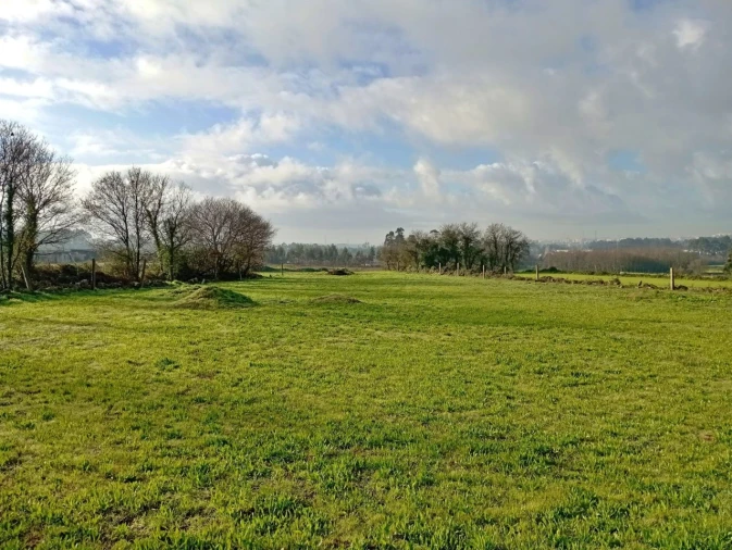 Terreno para Venda em Nogueira e Silva Escura Foto 4