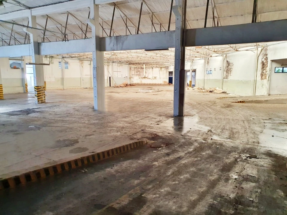 Armazém para Venda em Nogueira e Silva Escura Foto 6