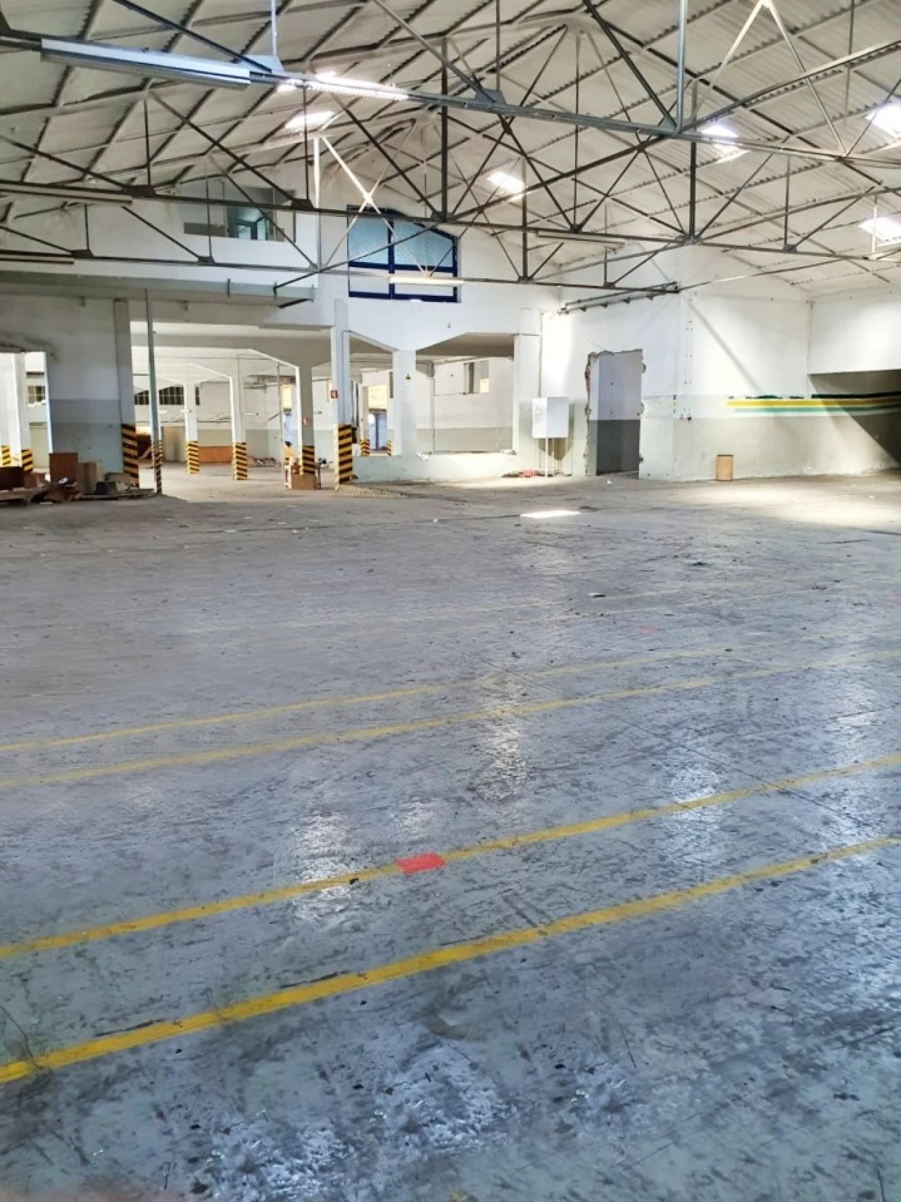 Armazém para Venda em Nogueira e Silva Escura Foto 9