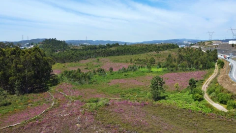 Terreno para Venda em Campo e Sobrado