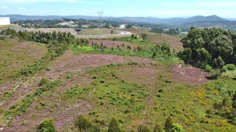 Terreno para Venda em Campo e Sobrado