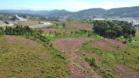 Terreno para Venda em Campo e Sobrado