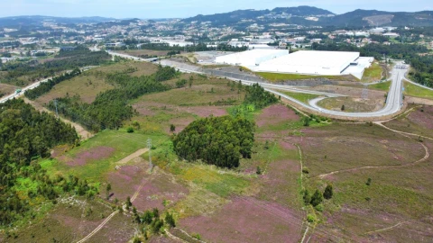 Terreno para Venda em Campo e Sobrado