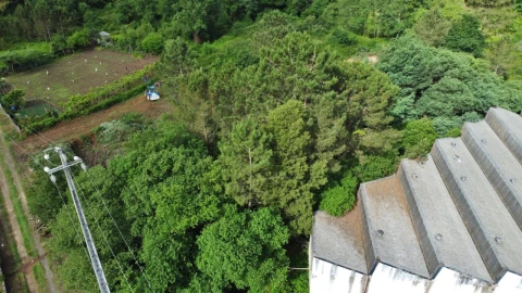 Terreno para Venda em Alvarelhos e Guidões