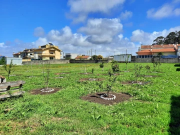 Terreno para Venda em Perafita, Lavra e Santa Cruz do Bispo