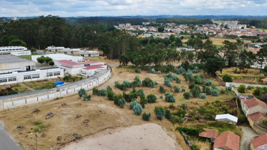 Terreno para Venda em Ovar, São João, Arada e São Vicente de Pereira Jusã
