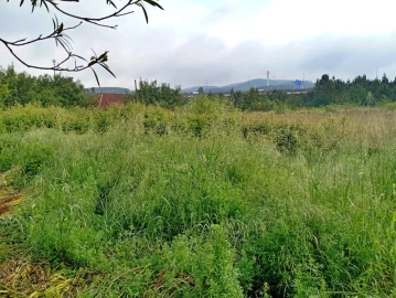 Terreno para Venda em Campo e Sobrado