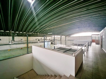 Armazém para Venda em Raiva, Pedorido e Paraíso