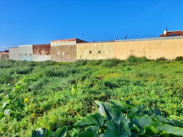 Terreno para Venda em Perafita, Lavra e Santa Cruz do Bispo