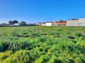 Terreno para Venda em Perafita, Lavra e Santa Cruz do Bispo
