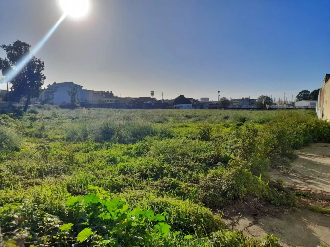 Terreno para Venda em Perafita, Lavra e Santa Cruz do Bispo Foto 11