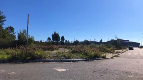 Terreno para Venda em Campo e Sobrado