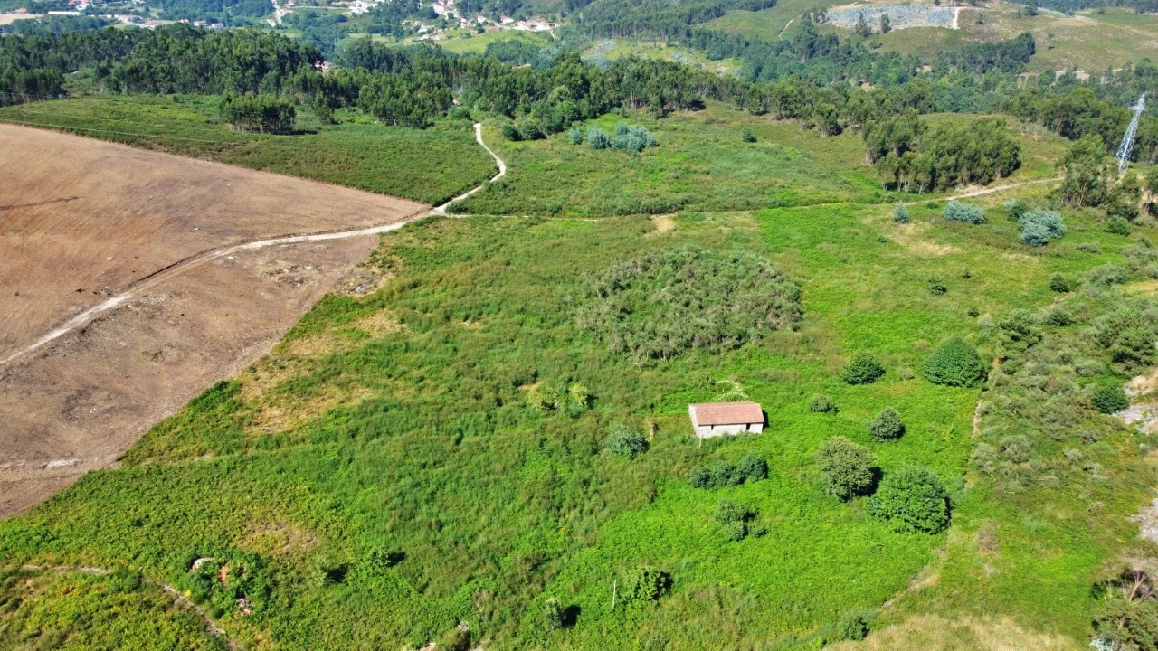 Terreno para Venda em Lustosa e Barrosas (Santo Estêvão) Foto 5