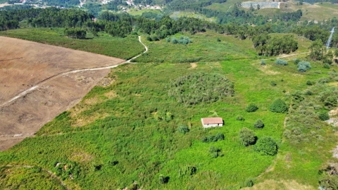 Terreno para Venda em Lustosa e Barrosas (Santo Estêvão)