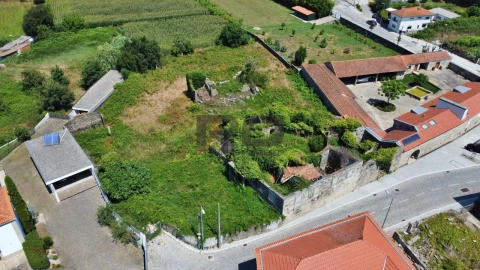Terreno para Venda em Nogueira e Silva Escura