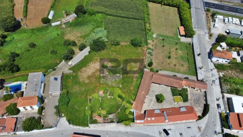 Terreno para Venda em Nogueira e Silva Escura