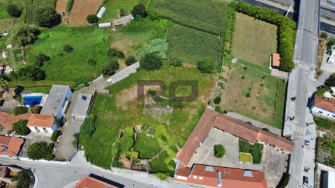 Terreno para Venda em Nogueira e Silva Escura
