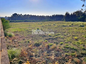 Terreno para Venda em Rio Meão